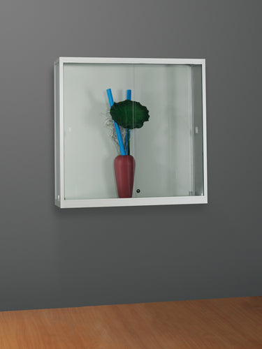 Wall display case - V1000M