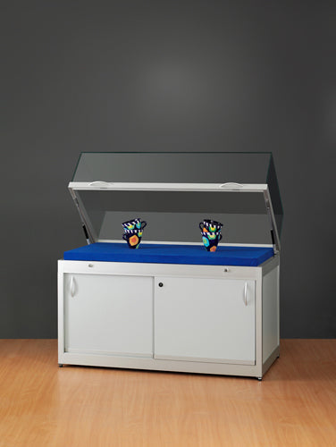 Flat display case with storage - TVT 250R