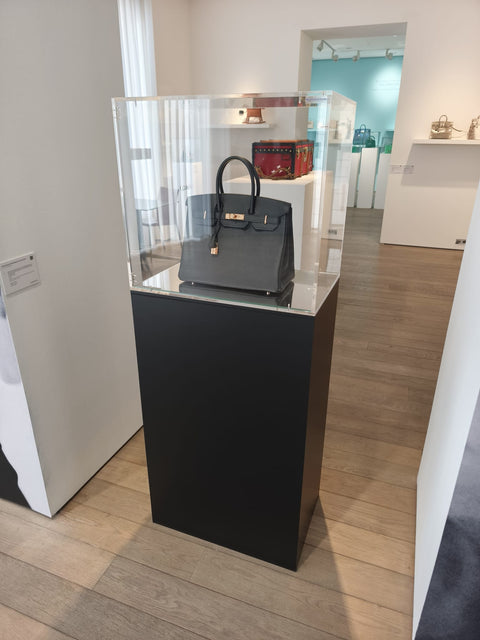 Vitrine cloche sur socle en plexiglas